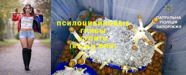 прущие крисы Нефтекумск