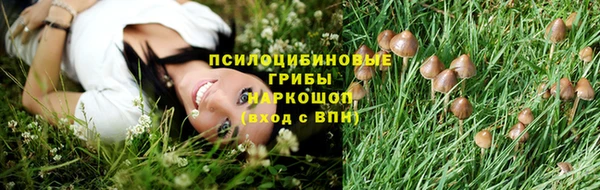 амфетамин Новокубанск