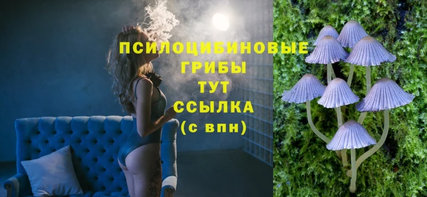 амфетамин Новодвинск